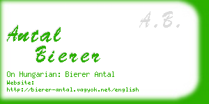 antal bierer business card